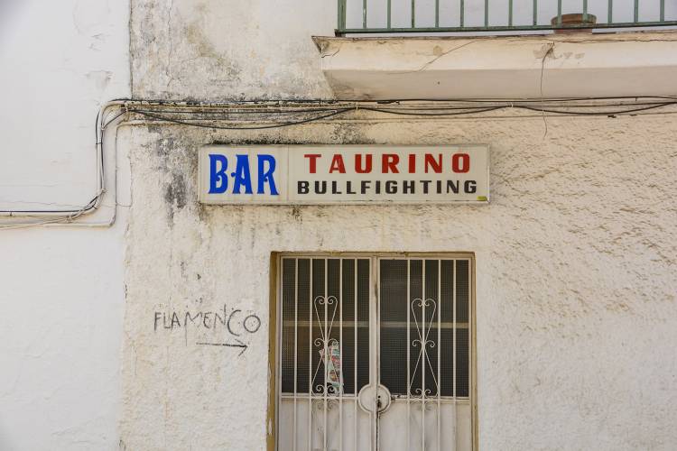 Flamenco fighting